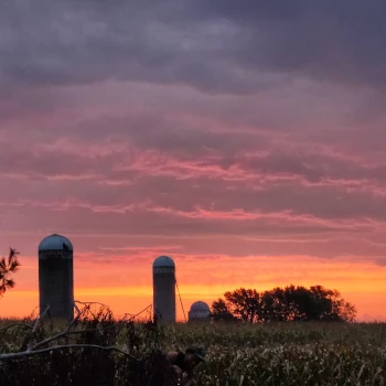 Progeny Feature Film Minnesota - Photo by Justin May