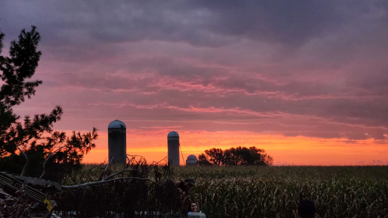 Progeny feature film — farm day